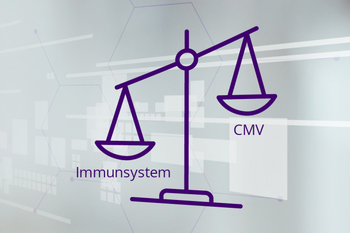 "Grafische Darstellung des Gleichgewichts zwischen Immunsystem und Cytomegalievirus (CMV), das zeigt, wie ein gesundes Immunsystem das Virus meist ohne Symptome kontrolliert"
