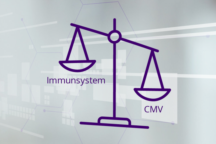 "Grafik zeigt Ungleichgewicht zwischen Immunsystem und Cytomegalievirus (CMV) bei geschwächtem Immunsystem, wodurch es nach Transplantation zu einer Reaktivierung und symptomatischen Infektion kommen kann"