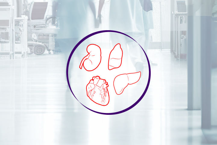 Image_niere_herz_leber_lunge_in_einem_kreis